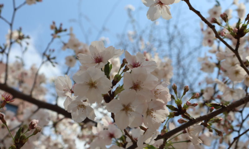 2026年 入社式を行いました