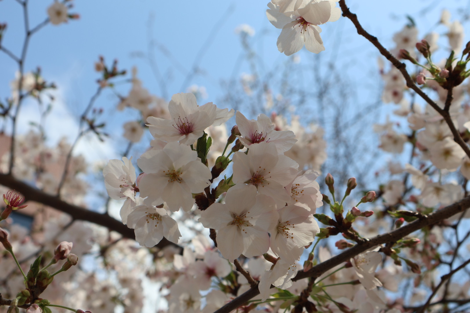 2026年 入社式を行いました